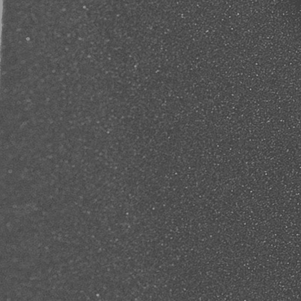 Untitled design - 2021-12-02T143834.058